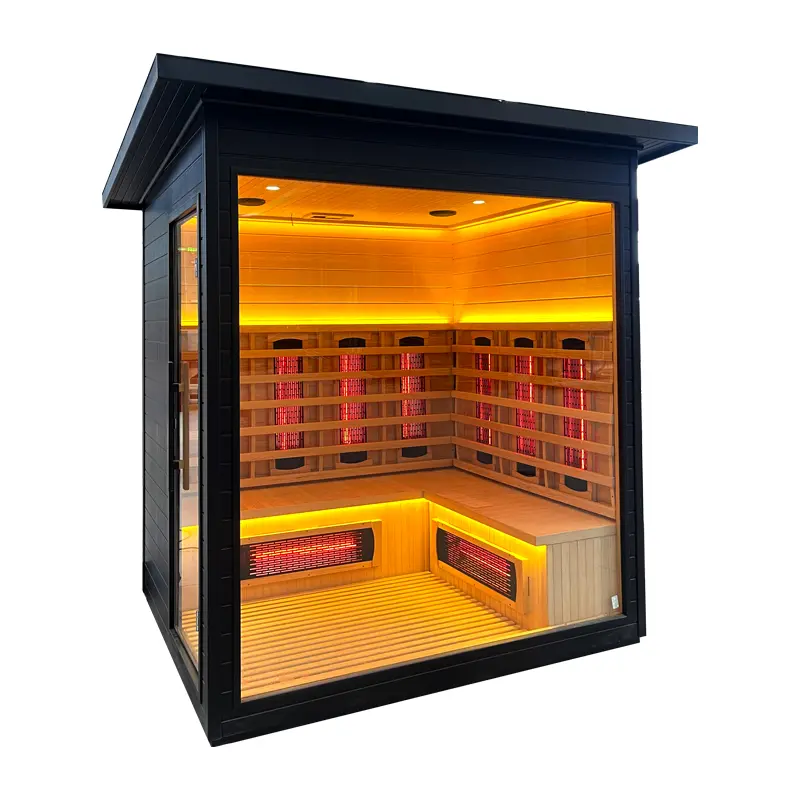 2-4 Person Outdoor Home Dry Sauna Room, Made in China Factory