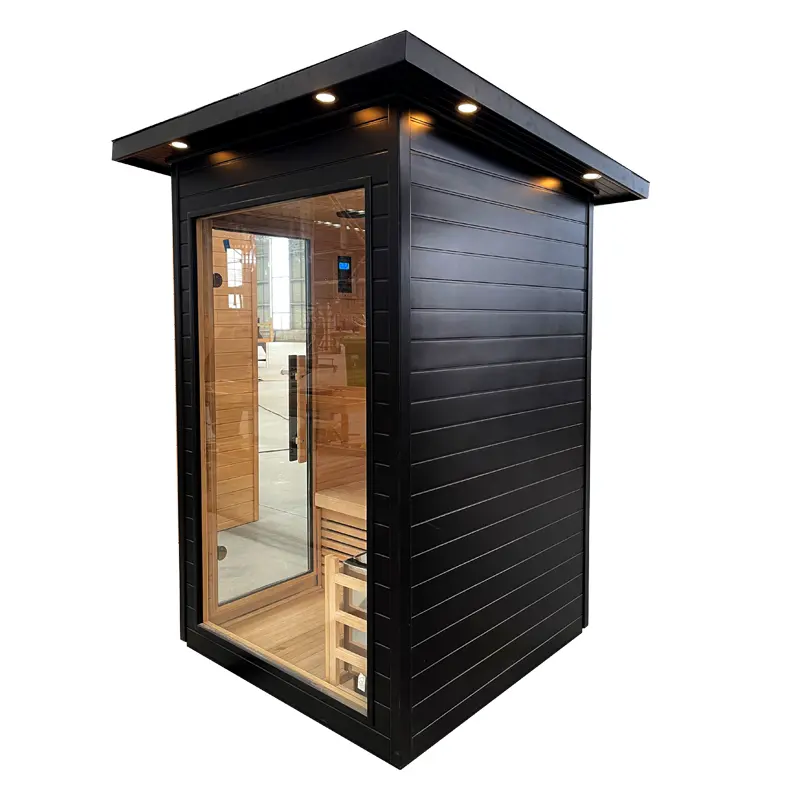 Apartment Use Modern Luxury Sauna Room  2-Person Solid Wood with Dual Steam & Control Panel