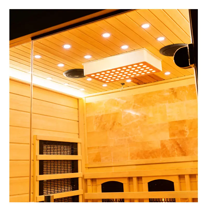 China Factory Direct Large Capacity Dual Steam Sauna Room (Dry & Wet) for Wholesale