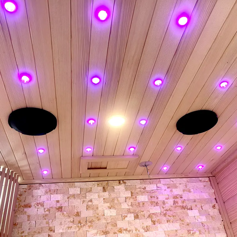 Hemlock 4-Person Steam Sauna Indoor  Smart Control System, Sauna Stove, Dual Seats, Starlight