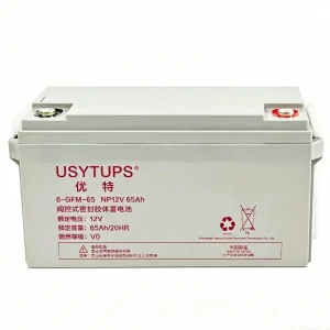 Storage Battery 12-55AH